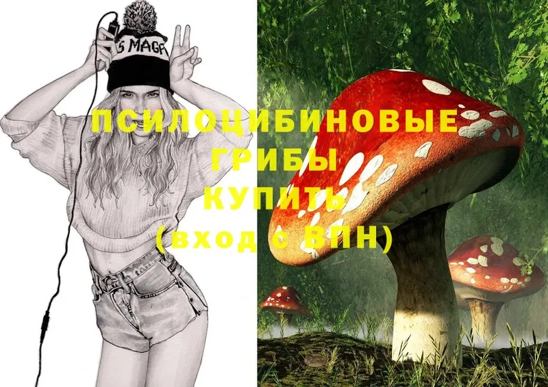 блэк спрут ссылки  Бежецк  Галлюциногенные грибы Magic Shrooms 